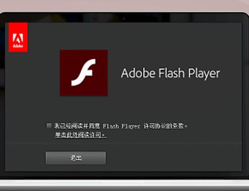 Flash插件的用途是什么？插图2