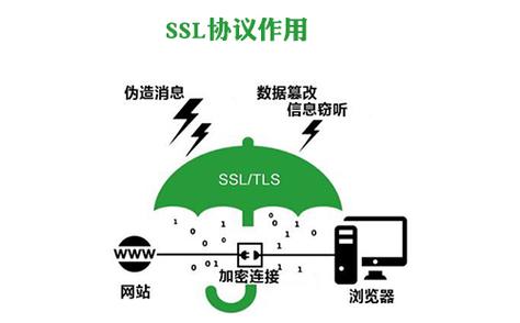 SSL代表什么，它的作用是什么？插图2