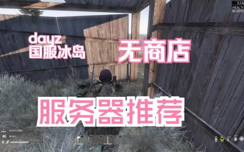 DayZ官方服务器与非官方服务器有何不同？