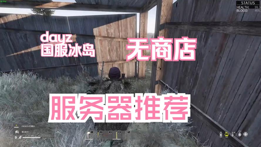 DayZ官方服务器与非官方服务器有何不同？插图