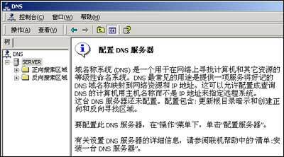 如何正确配置DNS服务器以提高网络性能？插图4