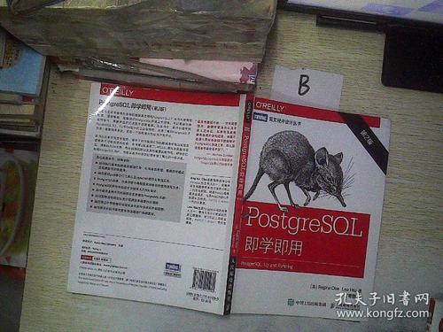 PostgreSQL即学即用第2版，如何实现数据库设备的即插即用功能？插图4