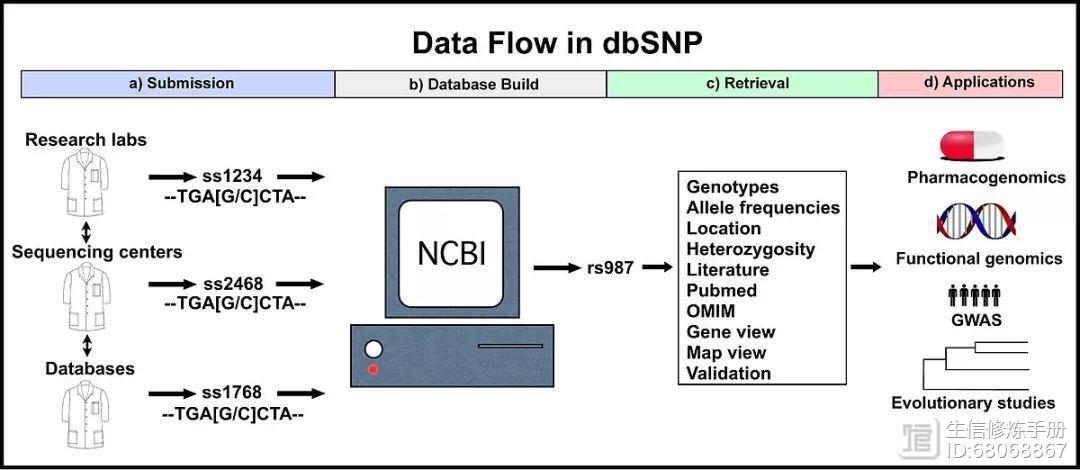 DBSNP数据库，探索遗传变异的宝库，我们如何充分利用它？插图