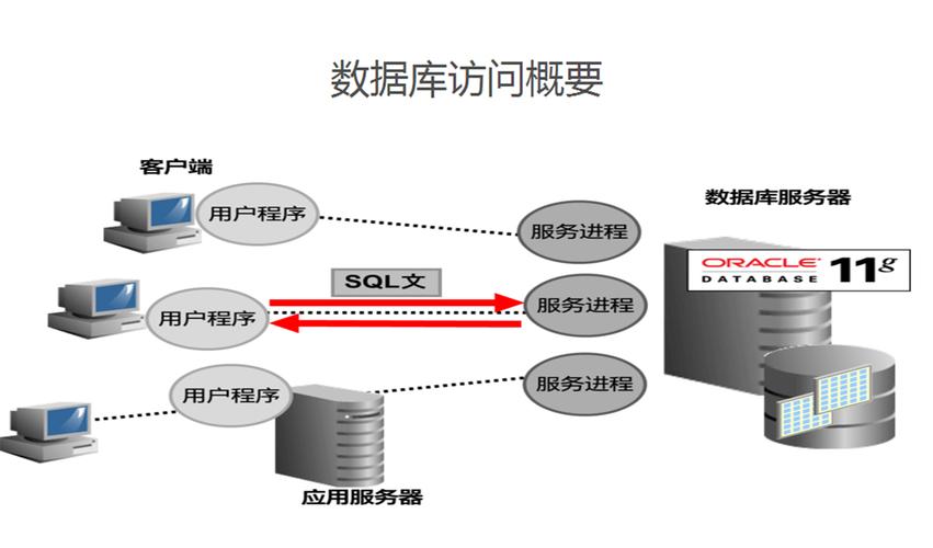 DBSNP数据库，探索遗传变异的宝库，我们如何充分利用它？插图2