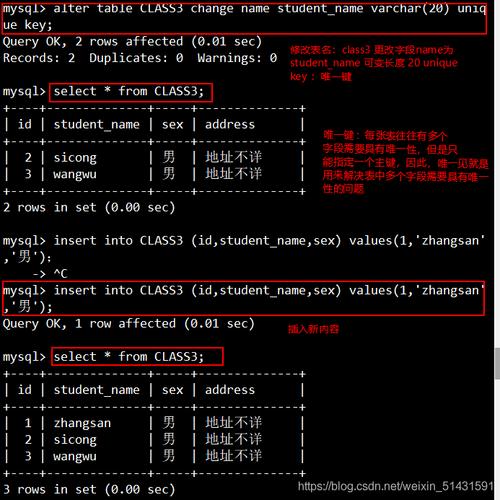 如何在DOS系统中使用命令行工具检查MySQL数据库？插图2