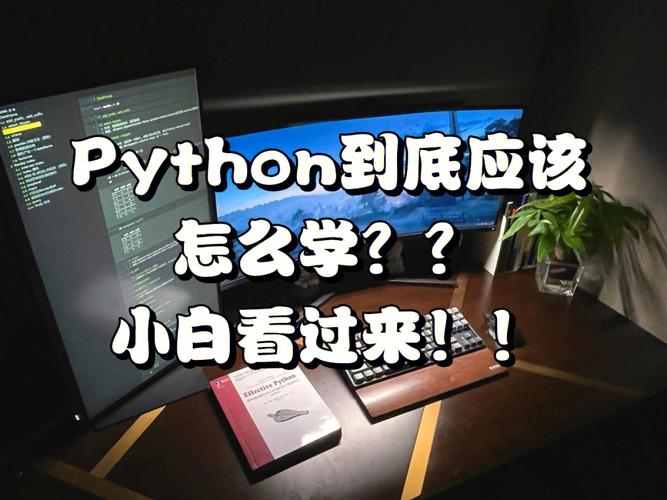 Python学好了了可以做什么插图2