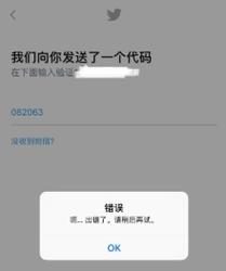 为什么无法成功注册推特账号？插图