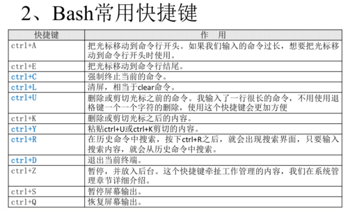 Shell编程在现代计算中扮演着怎样的角色？插图