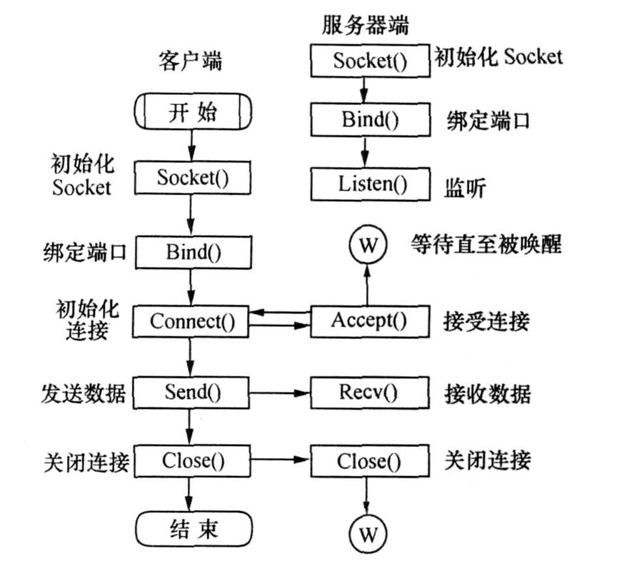 什么编程语言好做服务器插图4