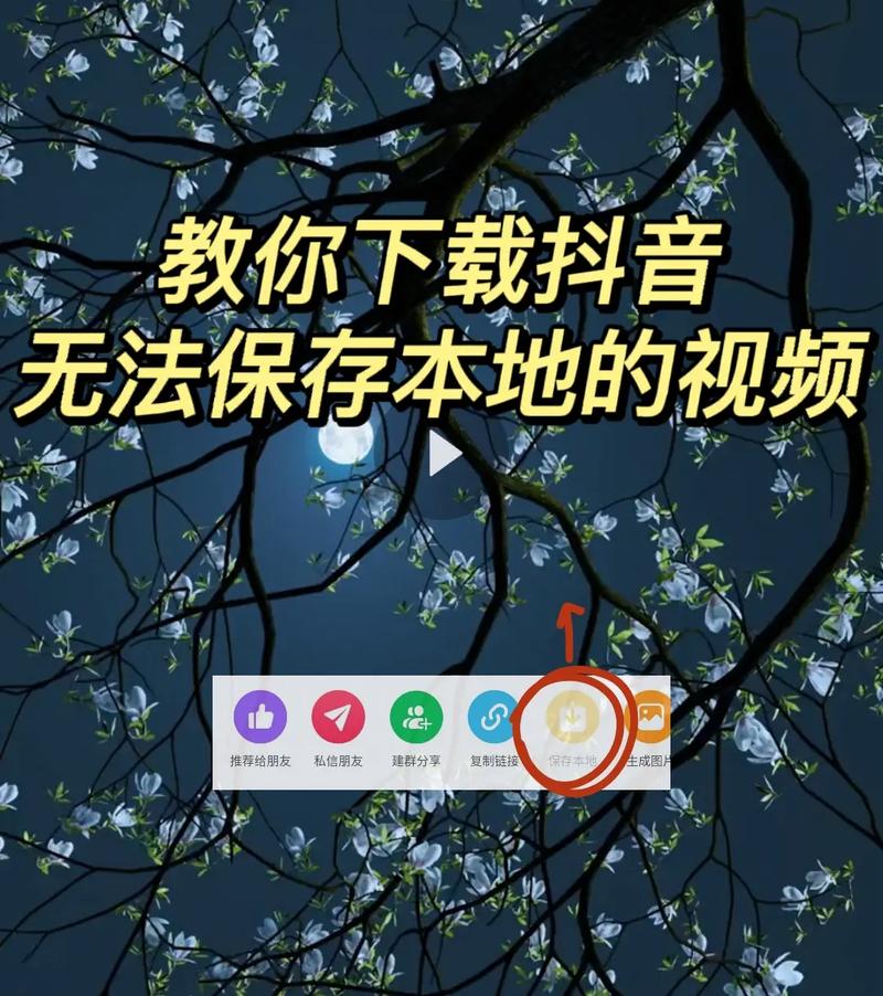 如何在抖音平台上成功下载原始视频内容？插图