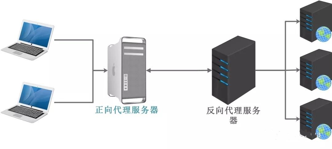 如何配置正向代理服务器以实现产品正向追溯？插图