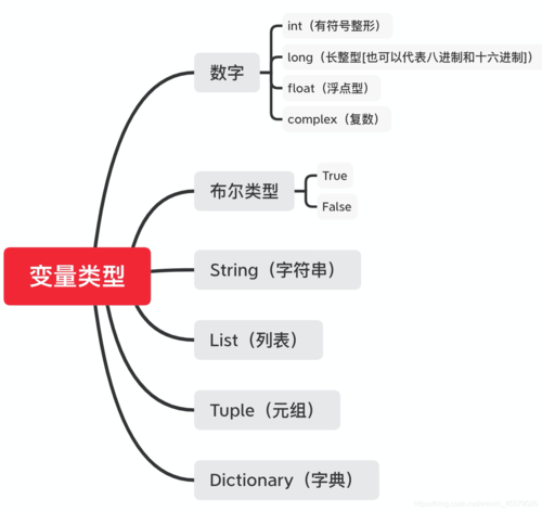 如何正确理解和使用不同的变量类型？插图4