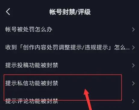 抖音私信功能何时能够重新启用？插图