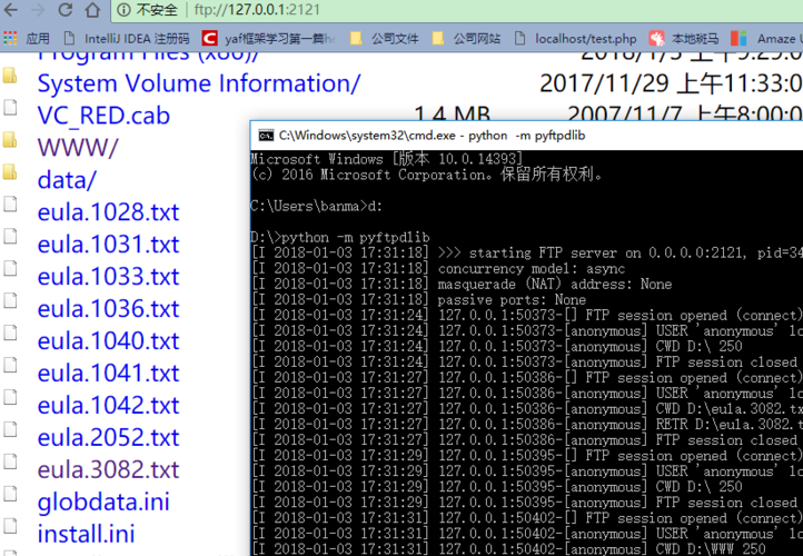 python实现的ftp服务器端_FTP插图