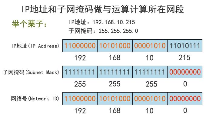 子网掩码是如何帮助网络设备确定数据包的目的地？插图2