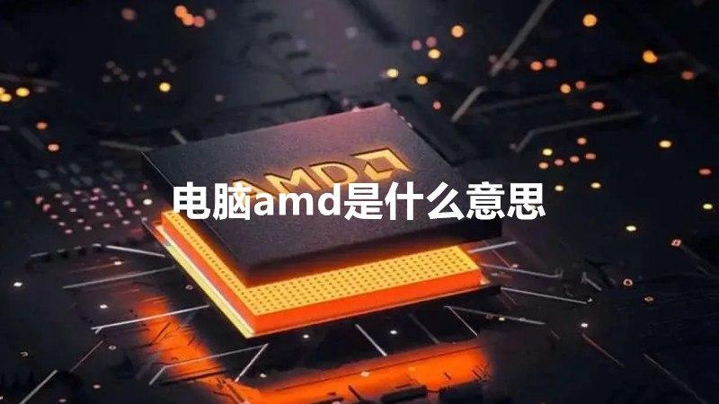 amd代表什么含义？插图