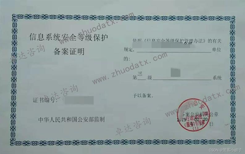 执行等保测评的专业机构具体承担哪些职责？插图2