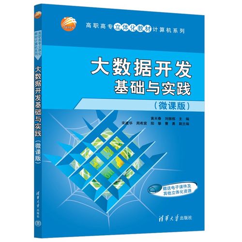 如何有效实施大数据开发实践以提升项目成功率？插图4