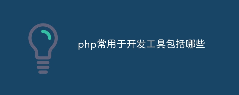 php常用于开发工具包括哪些插图