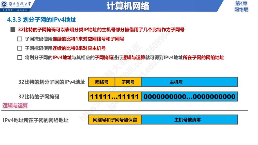 网上编程服务器地址是什么插图