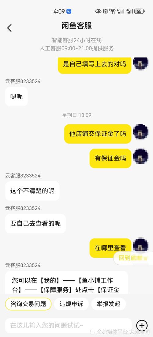 如果卖家在闲鱼平台收到付款后不发货，买家的资金如何保障？插图