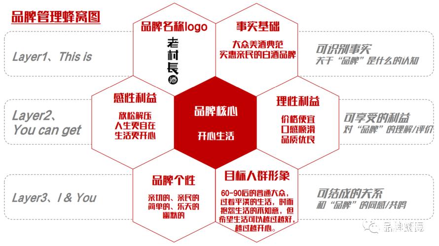 如何打造定制双品牌型网站，关键解决方案解析？插图