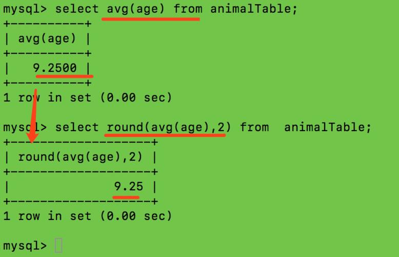 python 查看mysql数据库_Mysql数据库插图