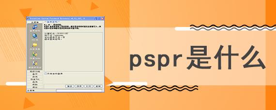 PSPR究竟指的是什么？揭秘这一术语的全貌插图2