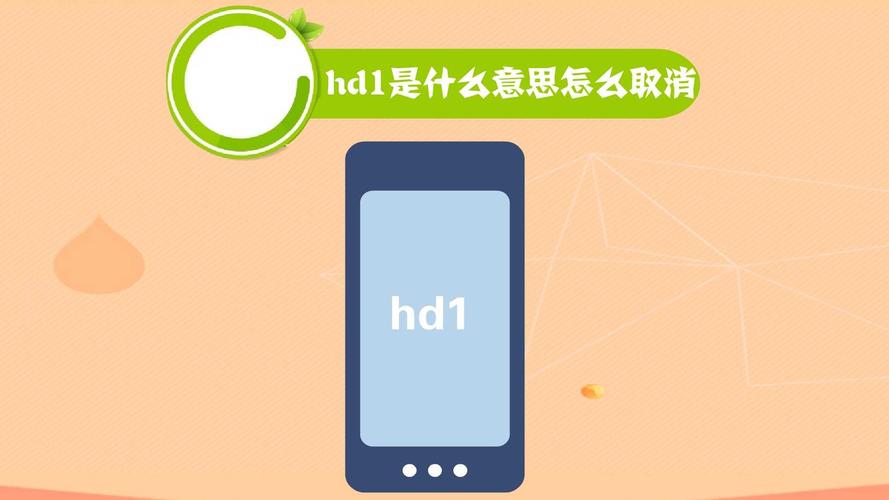 HD1的含义是什么？插图2