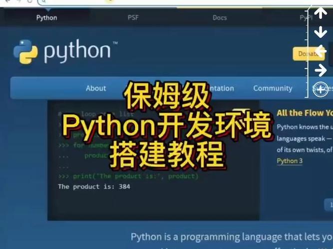 Python运行环境有哪些可供选择？插图4