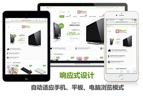 如何在成都部署OpenCart电子商务网站实现镜像同步？插图2