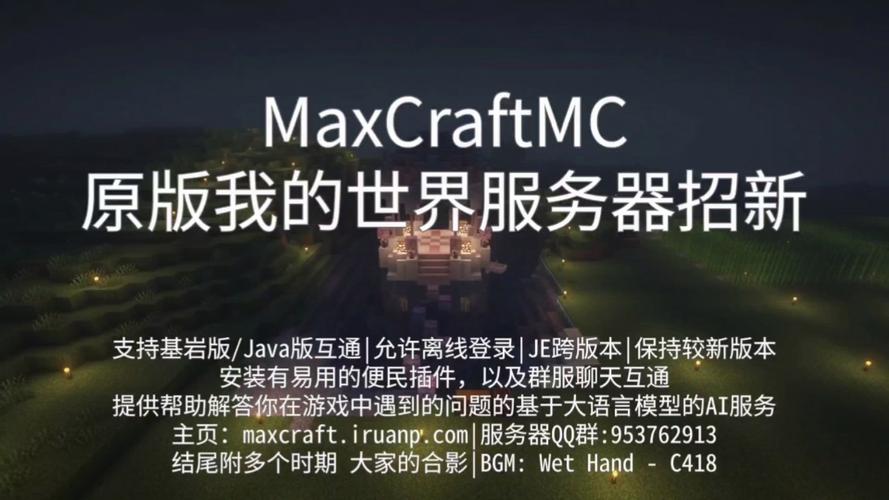 寻找最佳Mc服务器宣传软件，市场上有哪些选择？插图