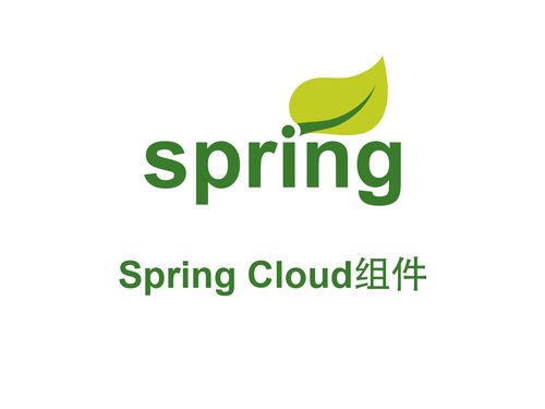 spring cloud是什么插图2