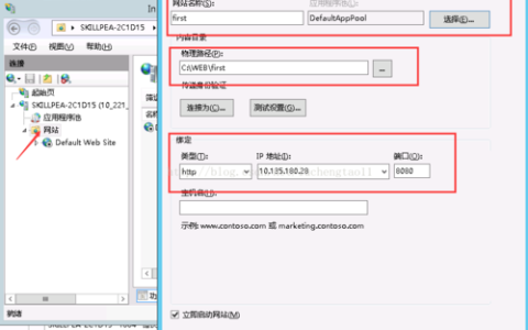 有什么服务器可以打开所有网站