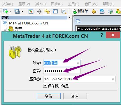 mt4要登录什么服务器插图4