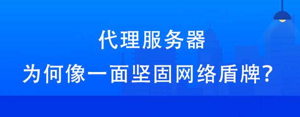 如何成功设置地税客户端代理服务器？插图2