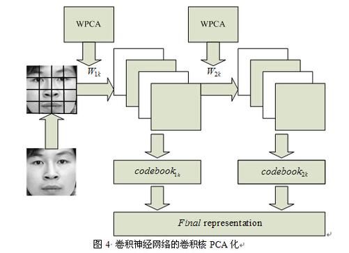 卷积神经网络在哪些领域展现了其独特的应用价值？插图