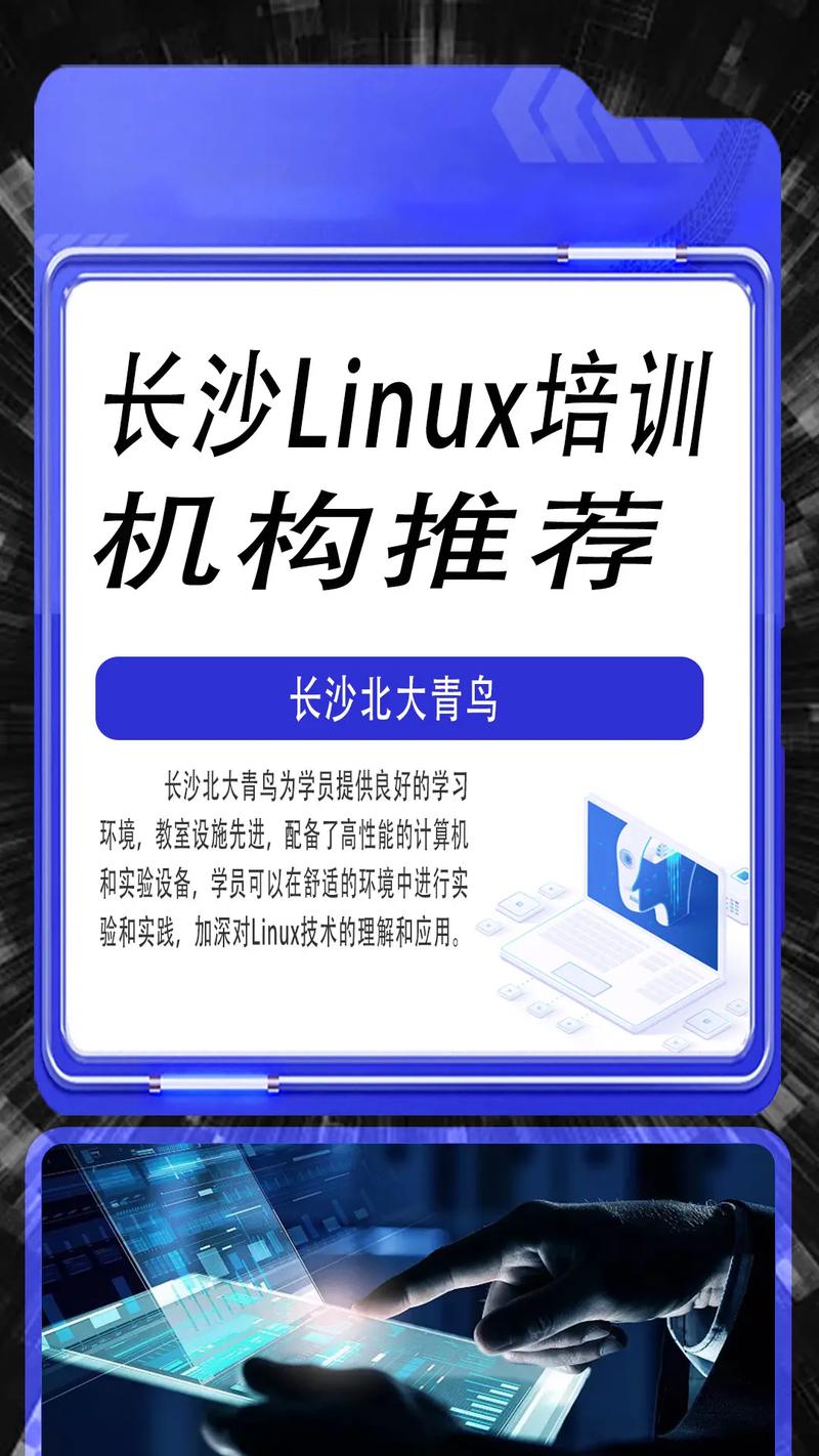 linux论坛那个好插图2