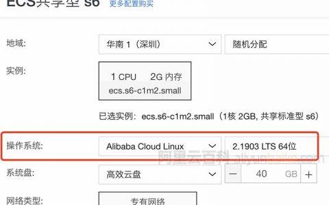 阿里云个人服务器2G内存规格究竟意味着什么？插图4