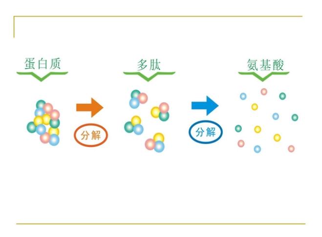 如何利用服务器客户端软件高效地将蛋白和小分子拼接成复合物结构？插图4