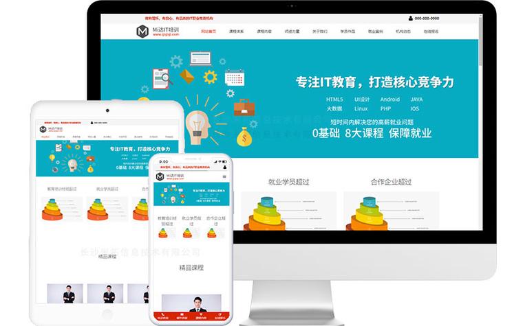 如何获取高质量的培训网站源码及专业咨询？插图