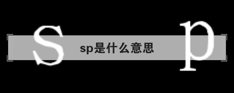 SP版究竟指的是什么？插图4