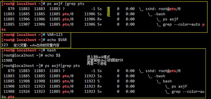 playbook 远端执行shell脚本_执行Shell脚本插图4