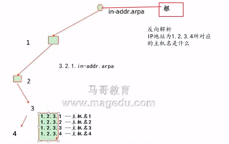 什么是DNS反向解析及其工作原理？插图2