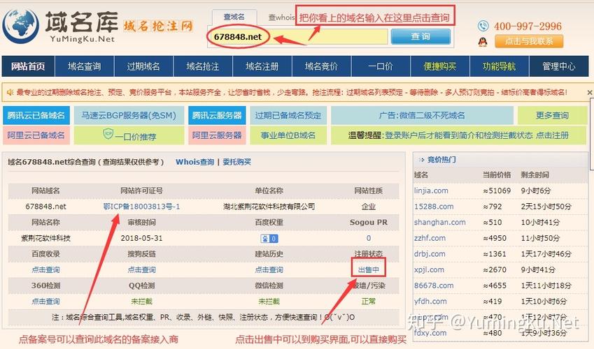 如何成功抢注即将到期的域名？插图