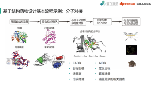 如何利用大规模存储技术优化大规模药物虚拟筛选过程？插图