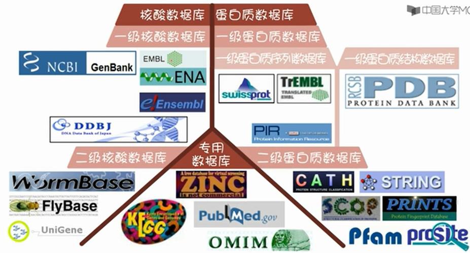 如何利用大数据和生物信息学优化大容量数据库的管理与分析？插图