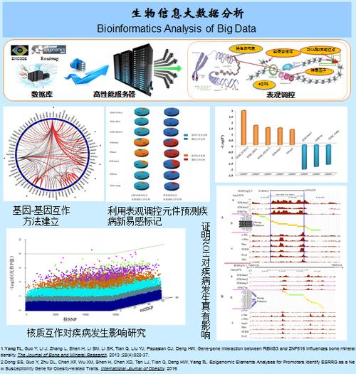 如何利用大数据和生物信息学优化大容量数据库的管理与分析？插图4