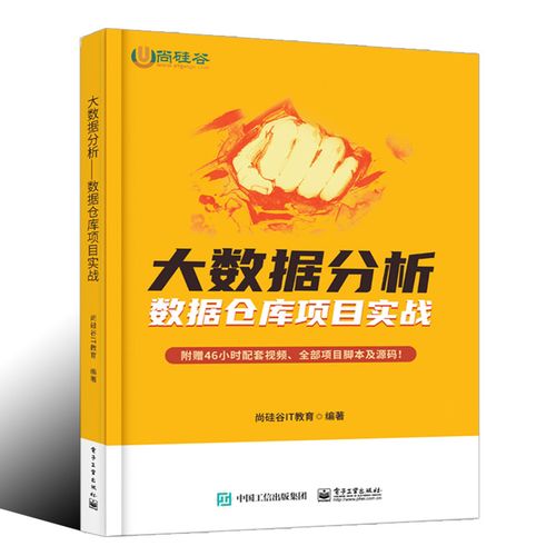 如何选择合适的大数据分析模型书籍来提升我的数据分析技能？插图4