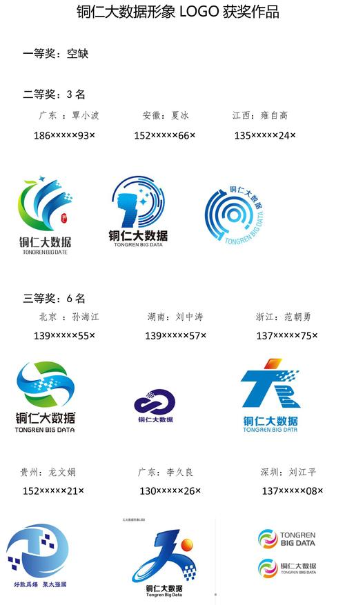 如何定制一个反映大数据特性的独特Logo？插图2